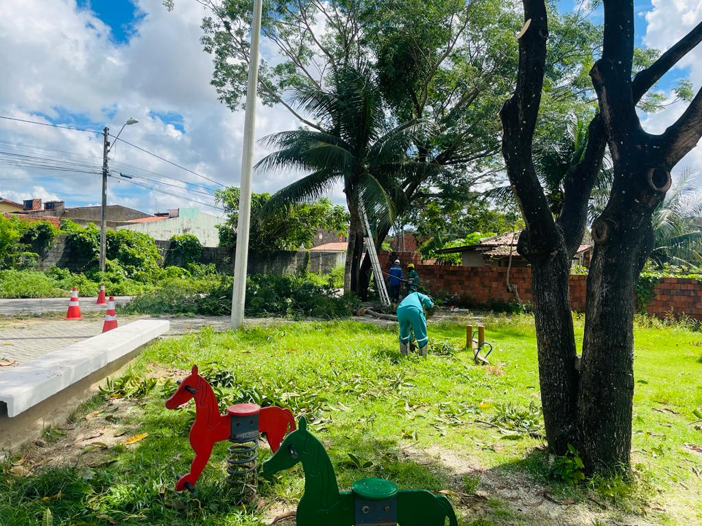 homens fazendo podas em plantas